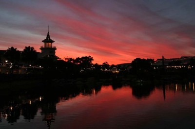 Port Elizabeth Album