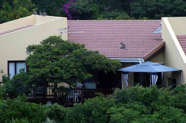 Monkeys on the house