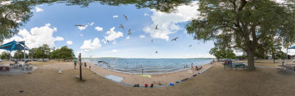 Seagulls by Traverse City Beach